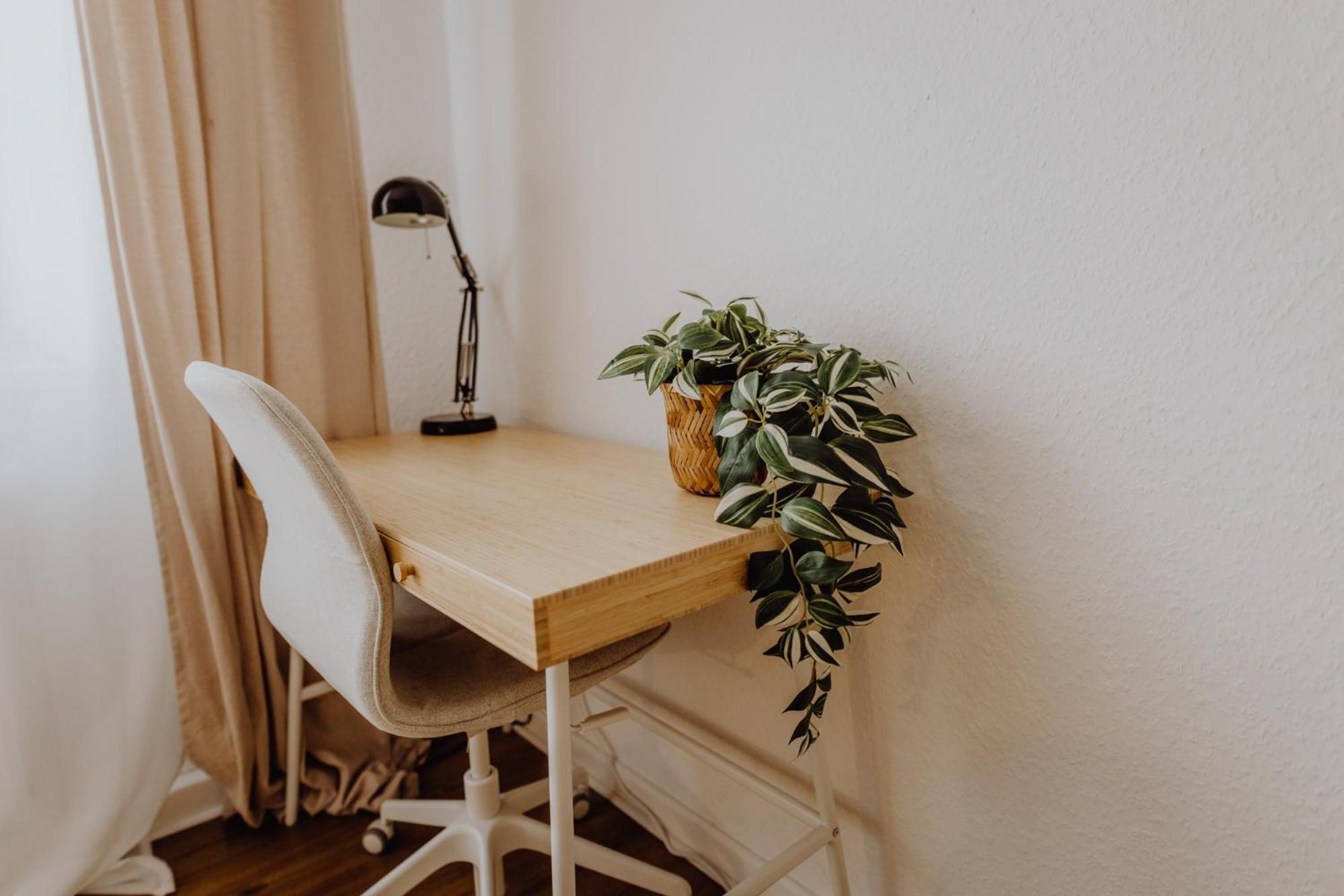 Staylight City - Premium Appartements Mit Balkon Hildesheim Eksteriør billede